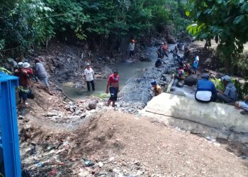 20 Hektare Lahan Pertanian di Gunungguruh Teracnam Kekeringan