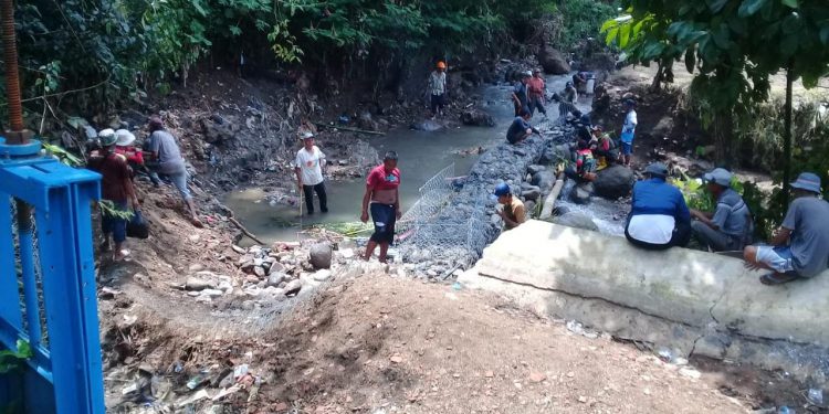 20 Hektare Lahan Pertanian di Gunungguruh Teracnam Kekeringan