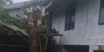 Sebuah Masjid di Sagaranten Tertimpa Pohon
