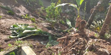 Longsor di Palabuhanratu Akses Jalan Desa Terputus, 3 Rumah Terancam