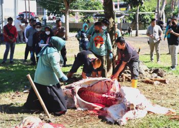Polres Sukabumi Kota Gelar Penyembelihan Belasan Hewan Qurban di Idul Adha 1443 H