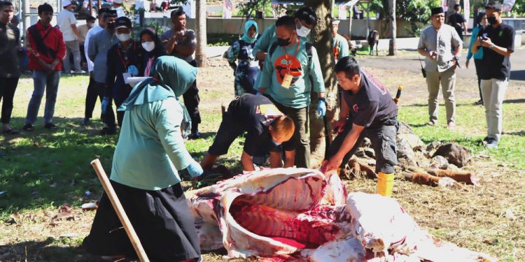 Polres Sukabumi Kota Gelar Penyembelihan Belasan Hewan Qurban di Idul Adha 1443 H