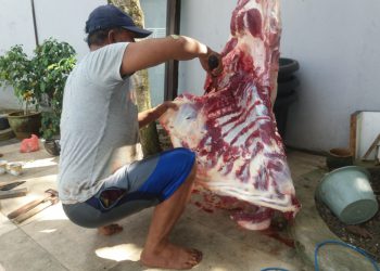 Tukang Jagal Kebanjiran Job di Lebaran Idul Adha