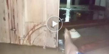 Ratusan Rumah Terendam Akibat Sungai Cikaso Meluap