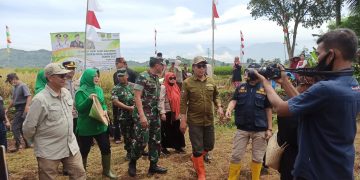 Hari Tani Nasional, Danrem 061 SK Panen Raya Padi di Kota Sukabumi