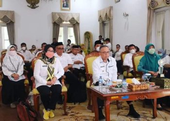 Secara Virtual, Wabup Paparkan Percepatan CPTS Kepada Tim Penilai STBM Award 2022