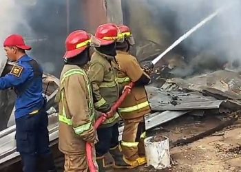 Pabrik Pengovenan Kayu di Cicantayan Kebakaran, Nilai Kerugiannya Fantastic