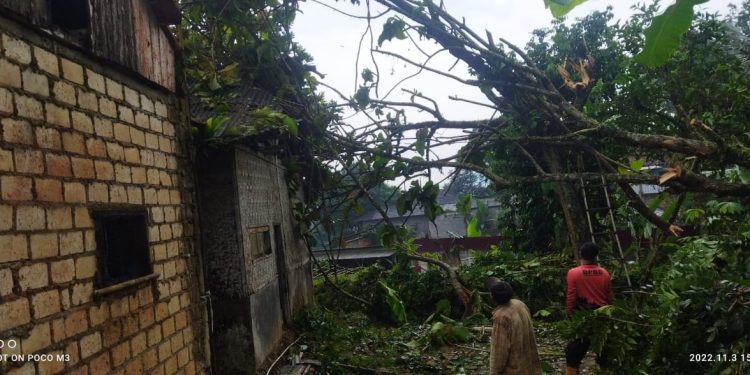 Pohon Timpa Rumah Warga di Kecamatan Cibadak