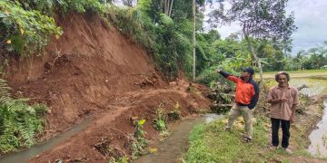 Sinergitas Forkopimcam Cisaat Evakuasi Longsoran dengan Bergotong-royong