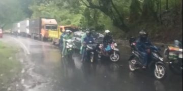 Pohon Tumbang di Ruas Jalan Simpenan, Kendaraan Sempat Mengular