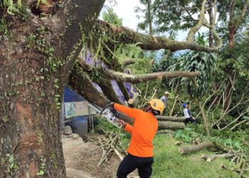 Sebuah Ruko Tertimpa Pohon di Cicurug Sukabumi