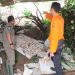 Rumah Tertimpa Longsor, Satu KK di Kecamatan Simpenan Diungsikan