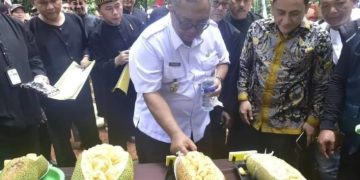 Bupati Marwan Tinjau Festival Cempedak Cibugis di Parungkuda