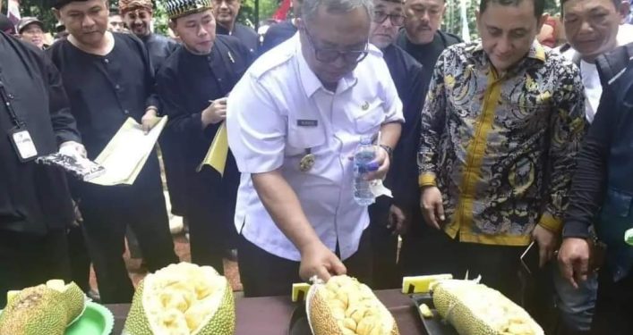 Bupati Marwan Tinjau Festival Cempedak Cibugis di Parungkuda