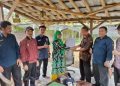Kadiskan Sukabumi Serahkan Sertifikat CBIB Kepada Pelaku Usaha Budidaya Ikan Skala Mikro dan Kecil