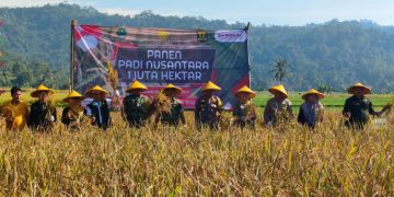 Sekda dan Sejumlah Forkopimda Sukabumi Gelar Panen Raya Nusantara