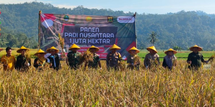 Sekda dan Sejumlah Forkopimda Sukabumi Gelar Panen Raya Nusantara