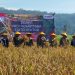 Sekda dan Sejumlah Forkopimda Sukabumi Gelar Panen Raya Nusantara