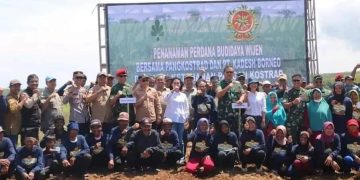 Wabup Dampingi Pangkostrad Panen Jagung di Ciemas Sukabumi