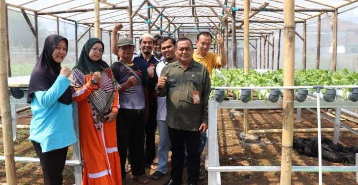Kelompok Tani Amanah Nanggeleng Ubah Lahan Kosong Jadi Produktif Melalui Hidroponik