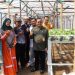 Kelompok Tani Amanah Nanggeleng Ubah Lahan Kosong Jadi Produktif Melalui Hidroponik