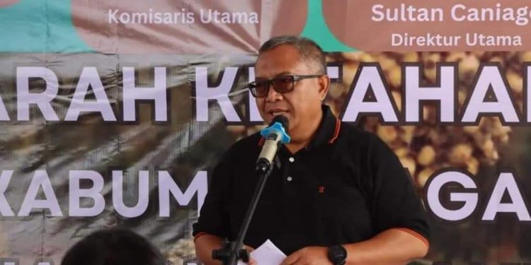 Bupati Marwan Dukung Peningkatan Produksi Sorgum untuk Ketahanan Pangan Nasional