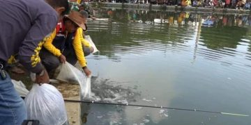 Bupati dan Dinas PU Bareng Warga Mancing Bareng 1 Ton Ikan Mas di Situ Cijeruk