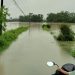 Tiga Desa di Kecamatan Ciemas Kebanjiran, Akses Jalan Terendam