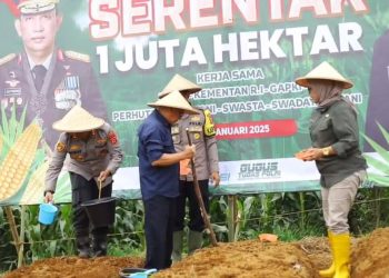 Dukung Ketahanan Pangan, Forkopimda Sukabumi Lakukan Penanaman Jagung Serentak 1 Juta Hektar