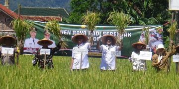 Serempak di 14 Provinsi, Walikota dan Forkopimda Gelar Panen Raya