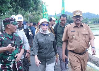 Bupati Dampingi KASAD di Peresmian Sarana Pengairan di Ciemas