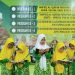 Ayo Bergabung; Inilah Empat Program Tahfidz Fathiyyah Zahra