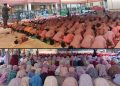 Ratusan Siswa MI dan TKQ Bitussalam Menggelar Sholat Dhuha Berjamaah